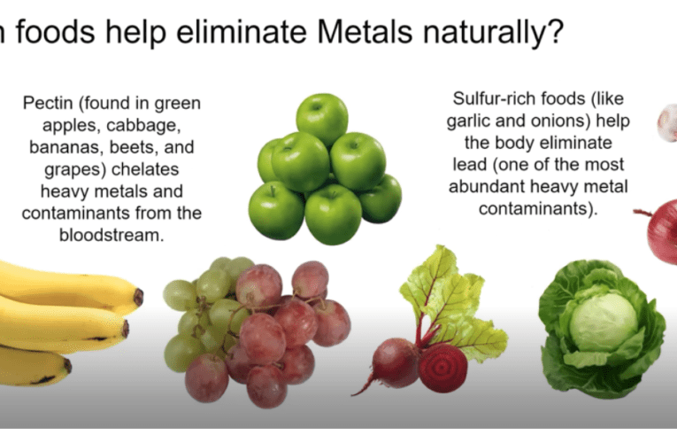 Eliminate Heavy Metals Naturally in The Hague