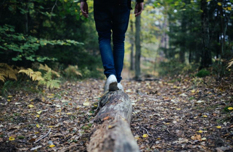 Tips for Balancing your Hormones Naturally  in The Hague